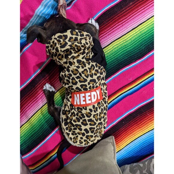 Other - Leopard print needy dog sweater hoodie